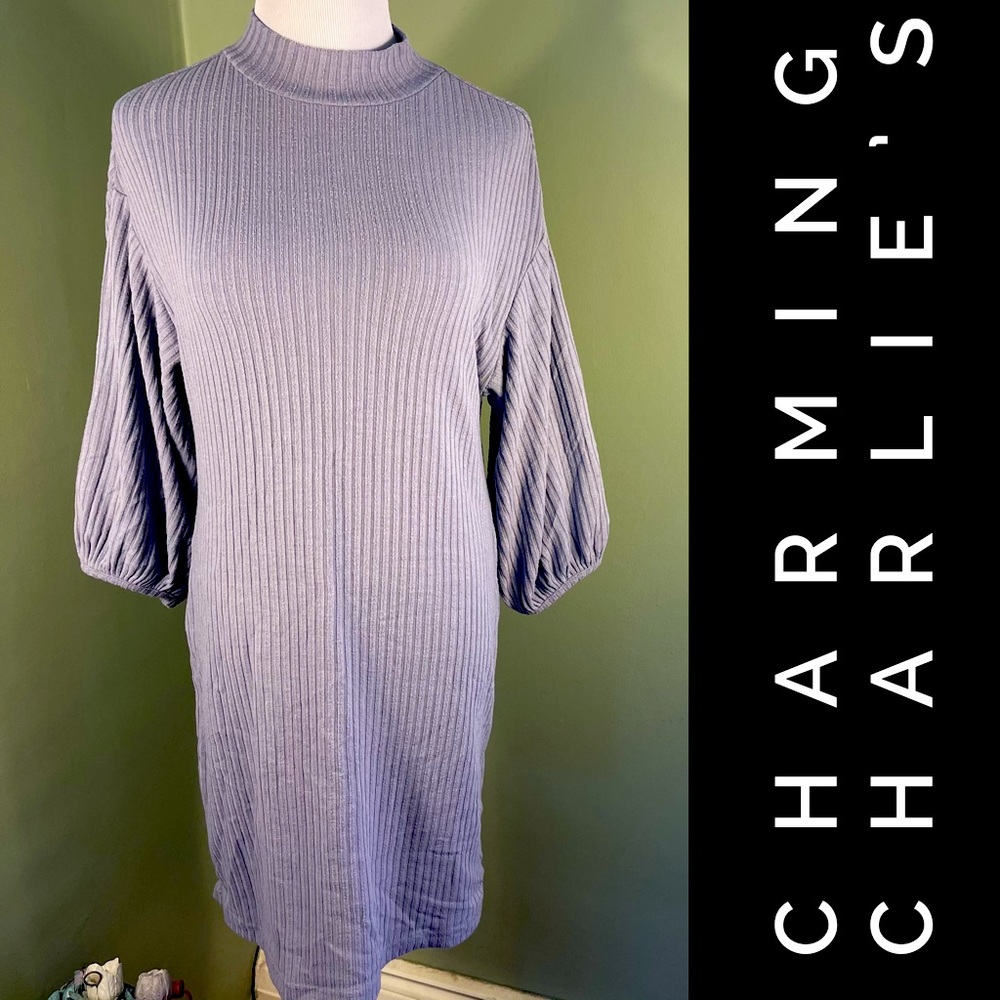 S Charming Charlie's dress